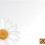 OHD-21apr