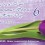 OHD_Almaty_April_2013_slider