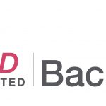 EFMD-Accreditated-Bachelor-Pantone